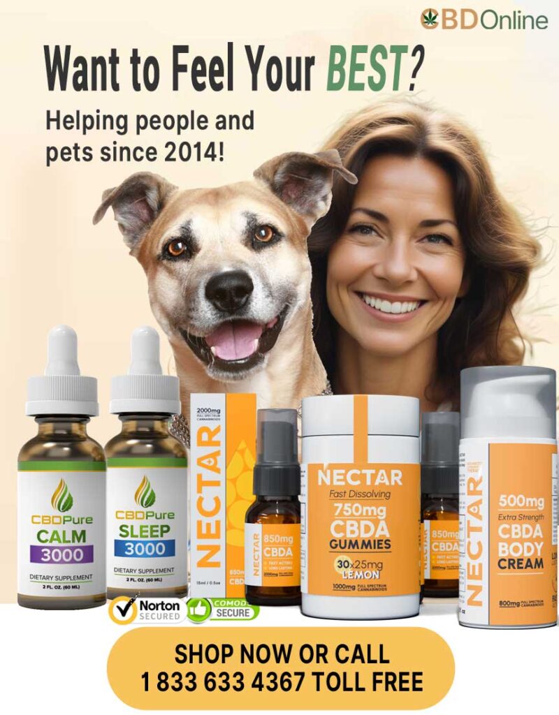CBD Online Hemp Marketplace, Ultimate Guide to CBD Online