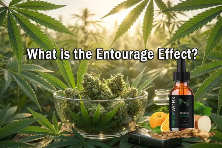 what is the entourage effect
