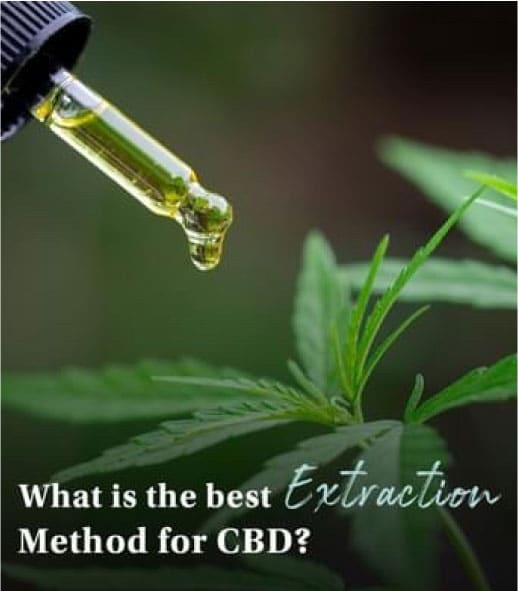 Has Hempworx CBD Oil Changed