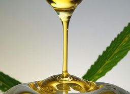 CBD Oil dripping