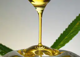 CBD-Oil-dripping CBD Oil dripping