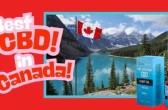 Best Full Spectrum CBD Oil in Canada