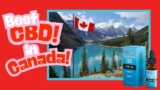 Best Full Spectrum CBD Oil in Canada