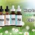 CBD Business Opportunities