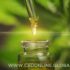 Thinking About Starting a CBD Business? Here’s How to Break In to the Market!
